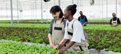 Why Sustainable Agriculture is the Future of Smart Investing